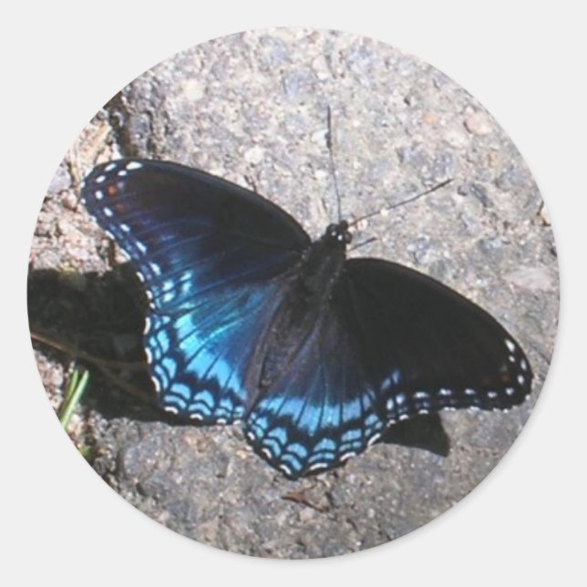 Sticker Rond Papillon de l'amiral tacheté rouge (Devant)
