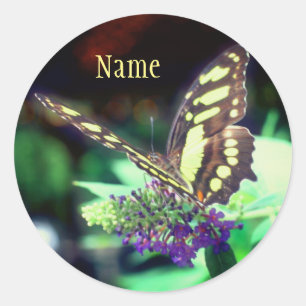 Sticker Rond Papillon doux sur la nature fleurie Personnalisé