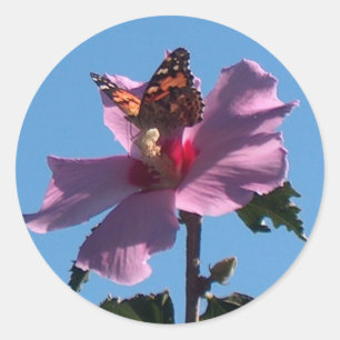 Sticker Rond Papillon et Rose de Sharon