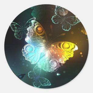 Sticker Rond Papillon lumineux et papillons de nuit