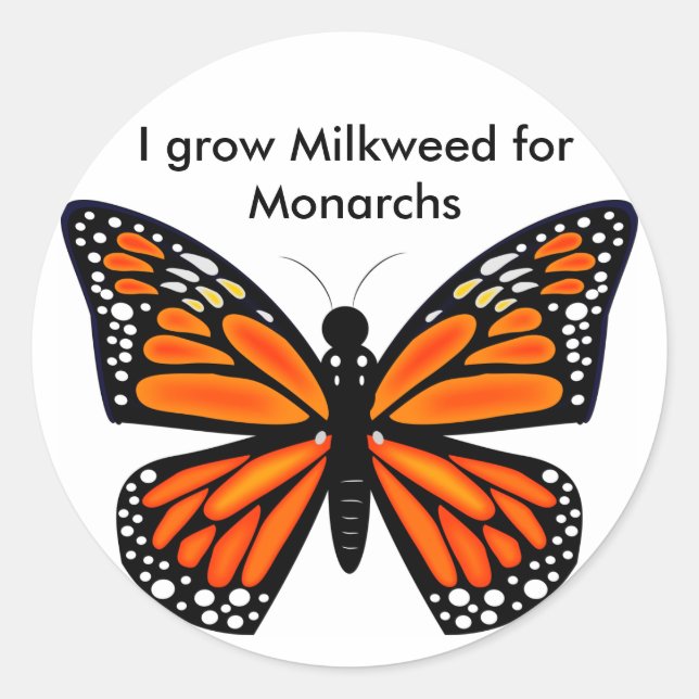 Sticker Rond Papillon monarque (Devant)
