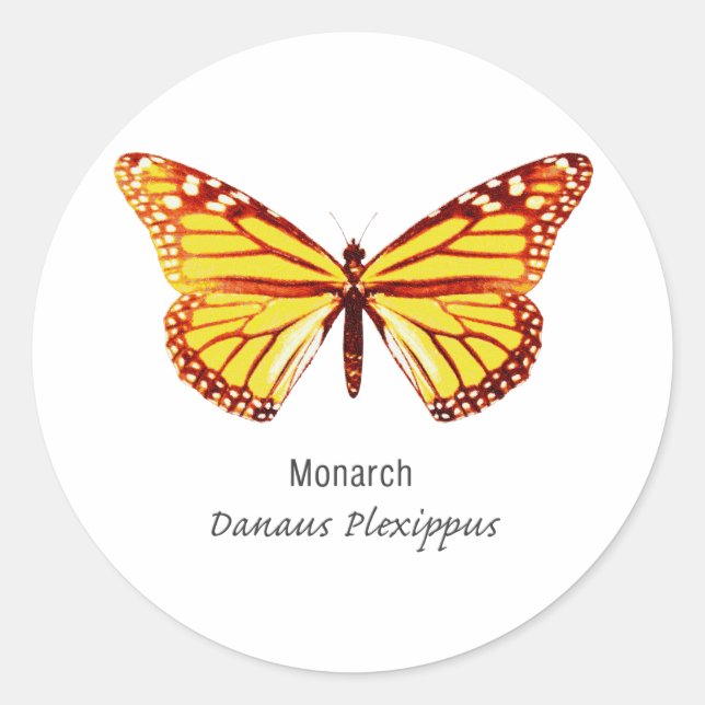 Sticker Rond Papillon Monarque avec nom (Devant)
