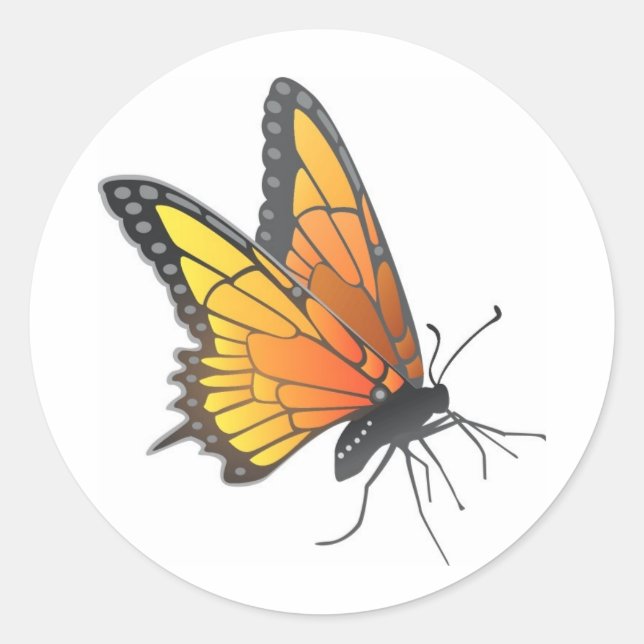 Sticker Rond Papillon monarque en vol (Devant)