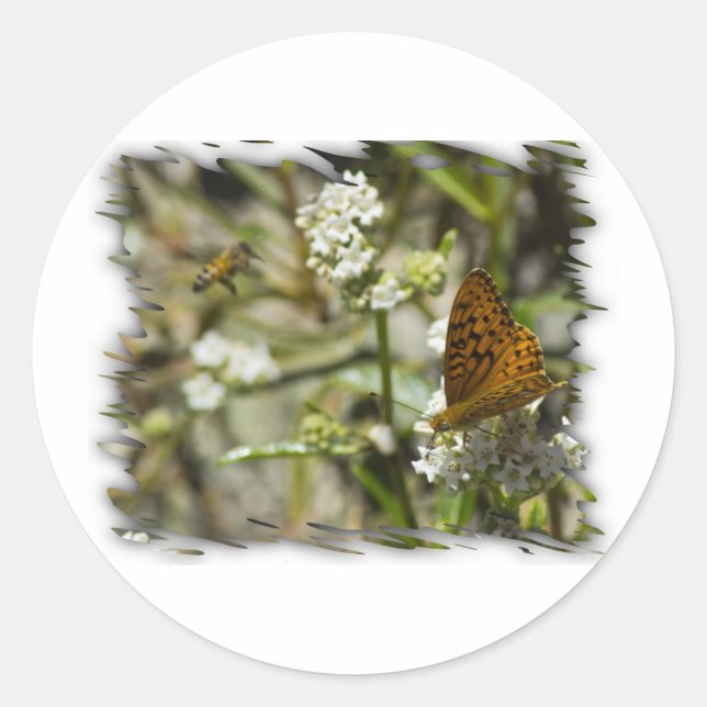 Sticker Rond Papillon orange et abeille (Devant)