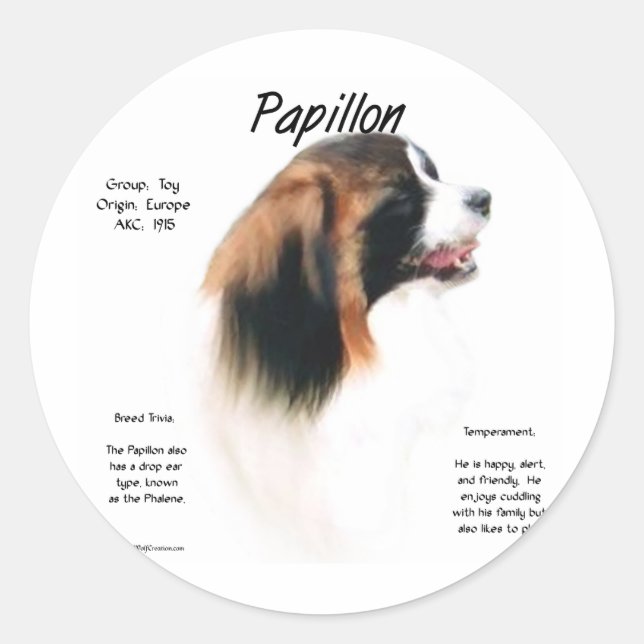 Sticker Rond Papillon (Phalene) Conception historique (Devant)
