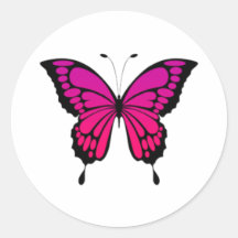 Papillon rose et violet