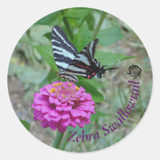 Sticker Rond Papillon swallowtail zébré