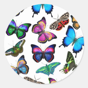 Sticker Rond Papillons flottant par l'autocollant