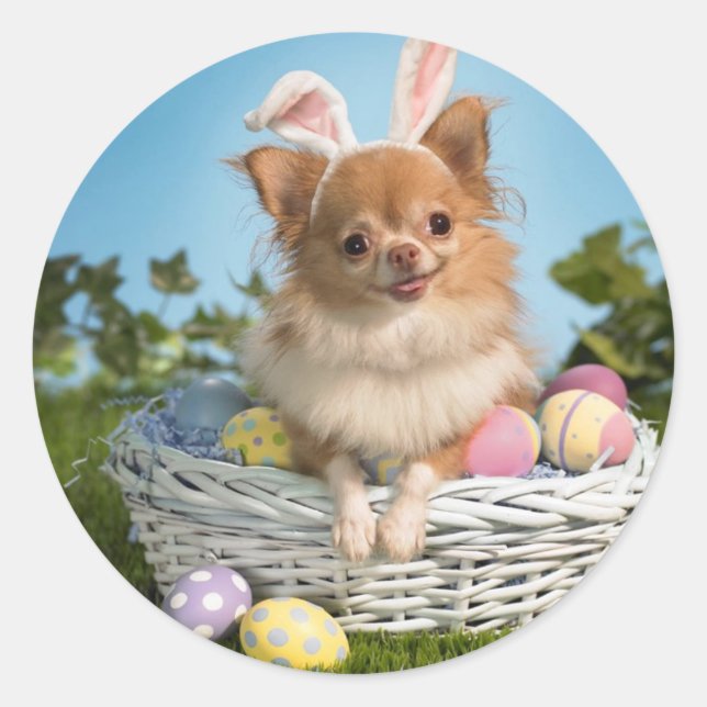 Sticker Rond Pâques Panier Puppy (Devant)