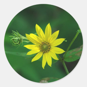 Sticker Rond Parc national des sources chaudes Cadeaux de tourn