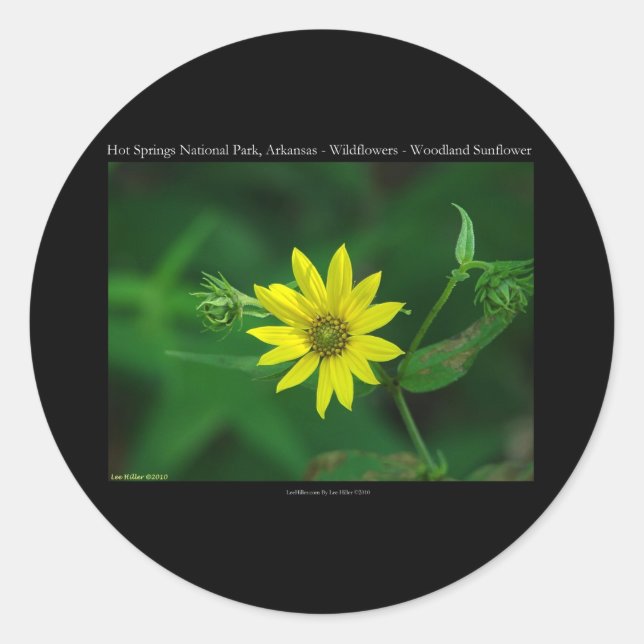 Sticker Rond Parc national des sources chaudes Cadeaux de tourn (Devant)