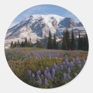 Sticker Rond Parc national du mont Rainier, Mont Rainier 3