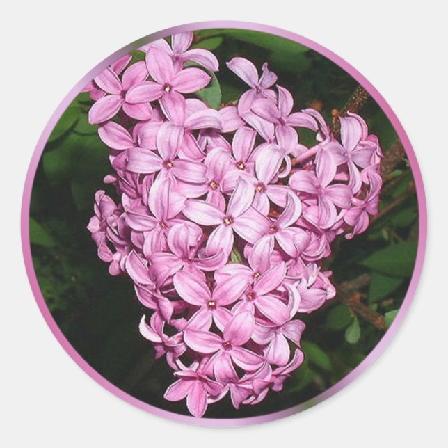 Sticker Rond Parfum de Lilacs (Devant)