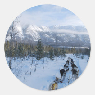 Sticker Rond ParrotSleds - paysage