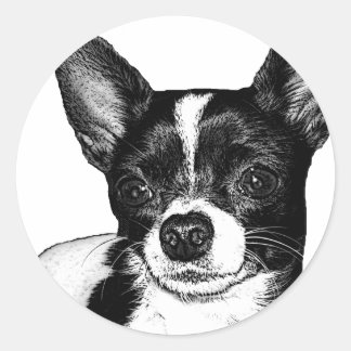 Sticker Rond Parti Chihuahua