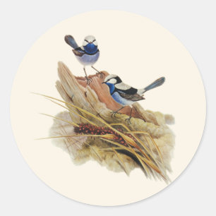 Sticker Rond Paruline Turquoisine,