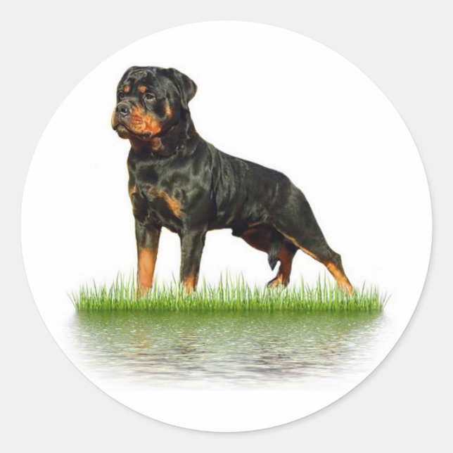 Sticker Rond Pasha Earl Antonius (Devant)