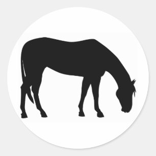 Sticker Rond Pâturage de cheval