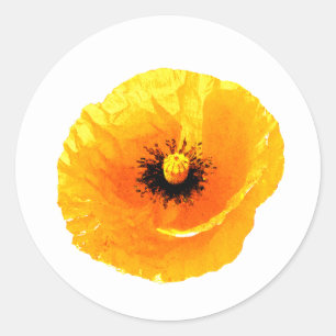 Sticker Rond Pavot Jaune Personnalisé Blanc Floral Mariage Anni