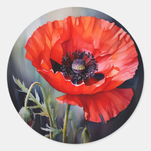 Sticker Rond Pavot rouge vif avec centre foncé