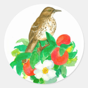 Sticker Rond Peaches Cherokee Roses Blanches Aquarelle