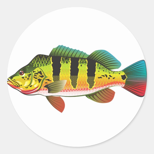 Sticker Rond Peacock Bass brillant Ocean Gamefing illustration (Devant)