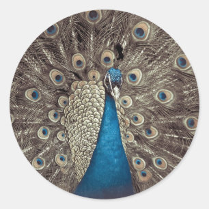 Sticker Rond Peacock bleu antique