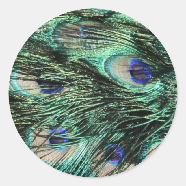 Sticker Rond Peacock, Paon, Peacock Tail, Plumes (Devant)