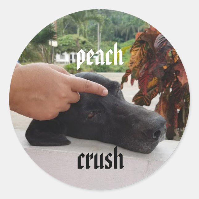 Sticker Rond pêche broyer délicat chien collant (Devant)