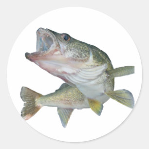 Sticker Rond Pêche de brochets vairons