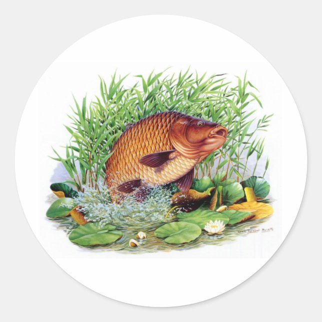 Sticker Rond Pêche de carpe (Devant)