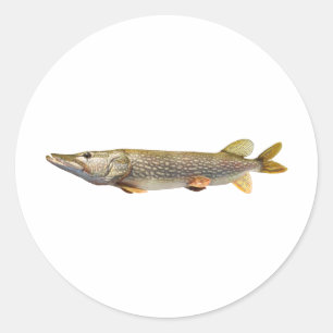 Sticker Rond Pêche de Pike Muski