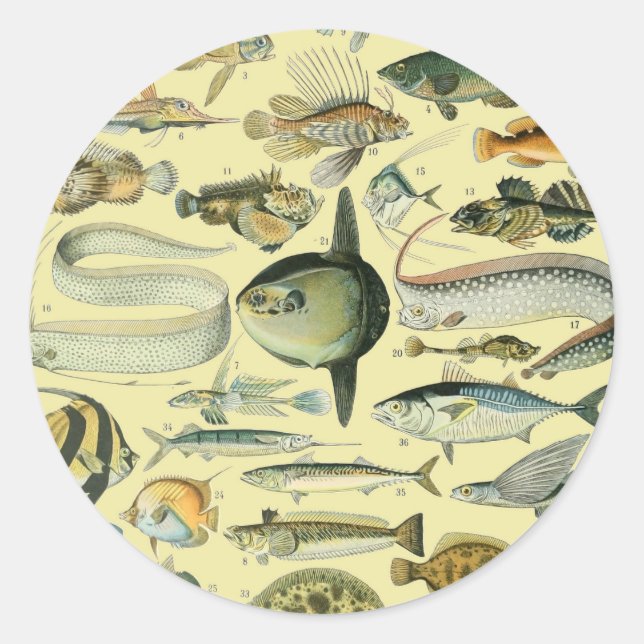 Sticker Rond Pêche scientifique vintage (Devant)