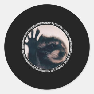 Sticker Rond Pedro Funny Raccoon Dancing Meme