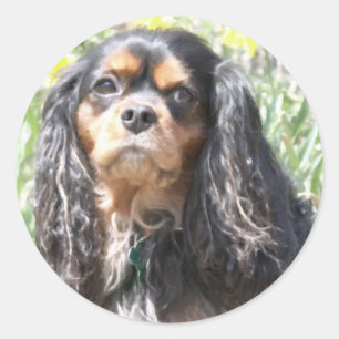 Sticker Rond Peint Cavalier roi Charles Espagnol