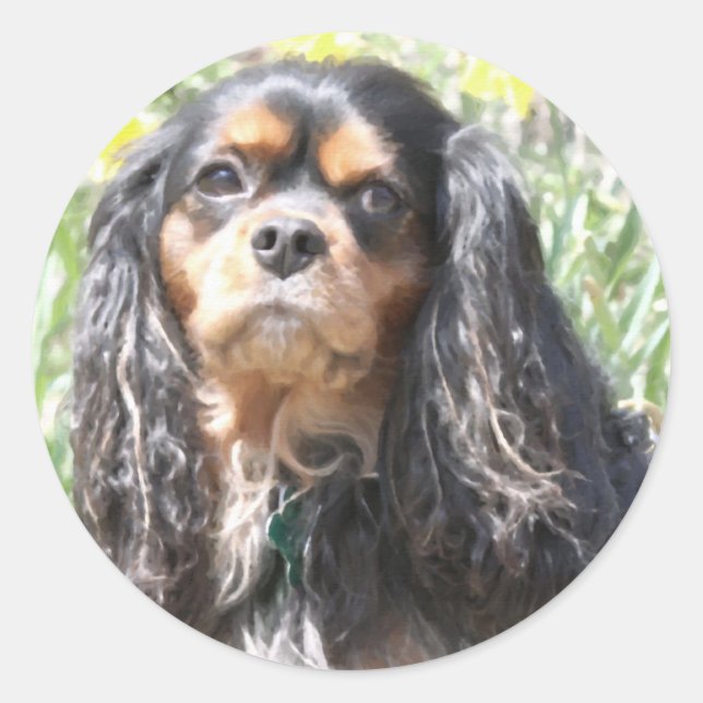 Sticker Rond Peint Cavalier roi Charles Espagnol (Devant)