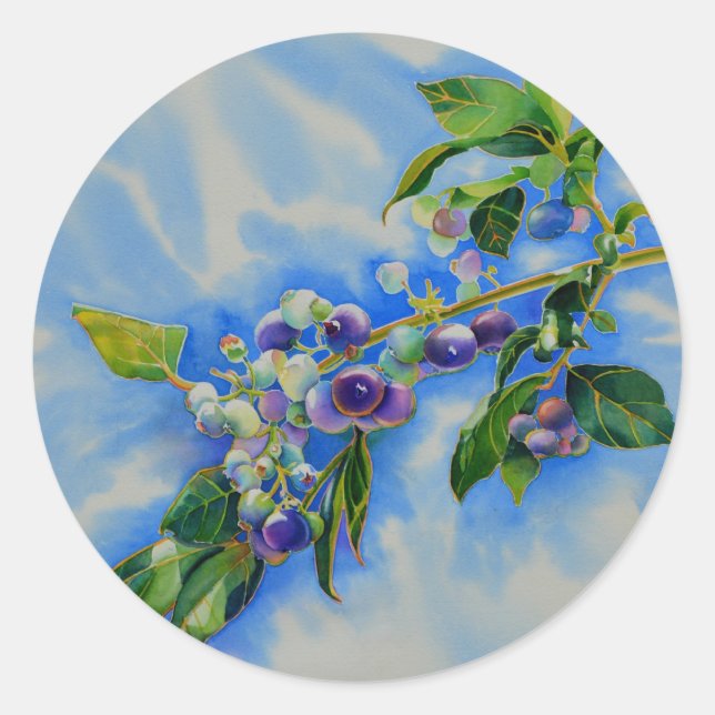 Sticker Rond peinture à l'aquarelle de bleuet (Devant)
