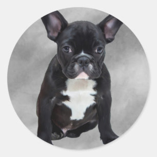 Sticker Rond Peinture à l'huile aquarelle de Bouledogue Françai
