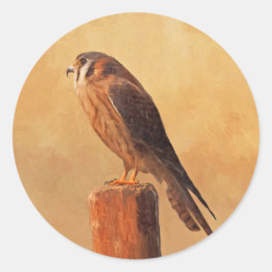 Sticker Rond Peinture américaine Kestrel - Art original pour oi