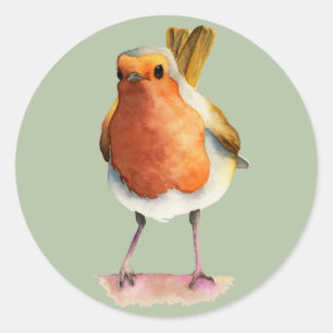 Sticker Rond Peinture d'aquarelle d'oiseau de Robin