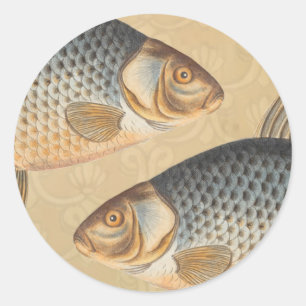 Sticker Rond peinture de pêche de carpe dessin d'eau douce