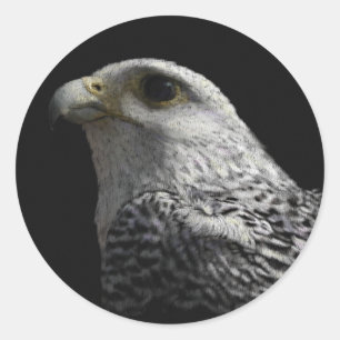 Sticker Rond Peinture de portrait de faucon arctique