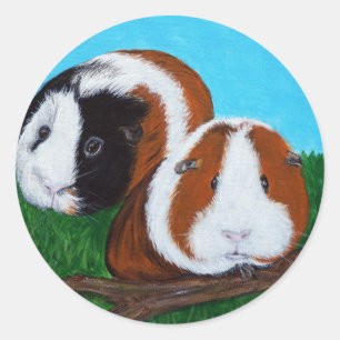 Sticker Rond Peinture des cochons de Guinée