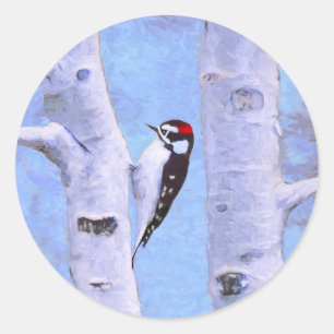Sticker Rond Peinture Downy Woodpecker - Art original pour oise