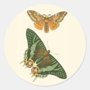 Sticker Rond Peinture légèrement encadrée de papillon