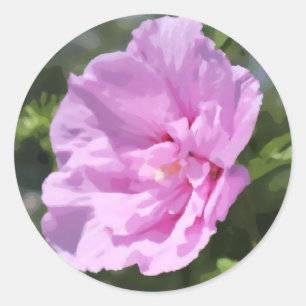Sticker Rond Peinture rose double Hibiscus à fleurs numériques