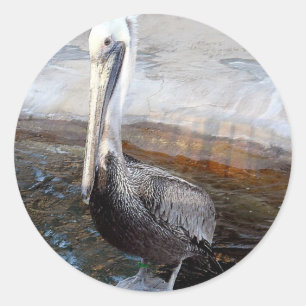 Sticker Rond Pelican Love,-Occasions_