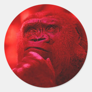 Sticker Rond Penser Gorilla