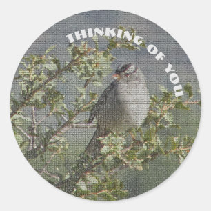 Sticker Rond Pensez à vous Petite Bruant Photo Mosaïque Oiseau