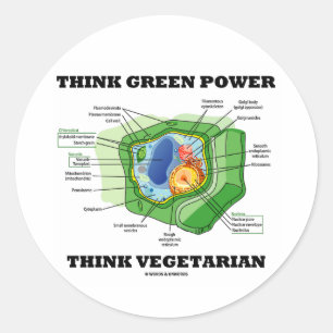 Sticker Rond Pensez au pouvoir vert Végétarien (cellule Plant